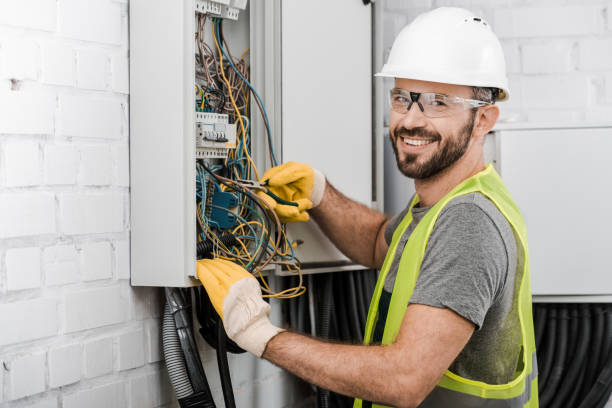 Best Electric Panel Repair  in Portsmouth, VA